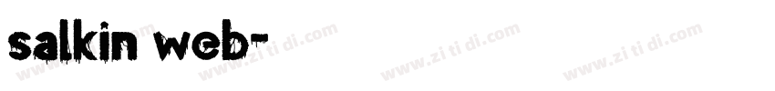 salkin web字体转换